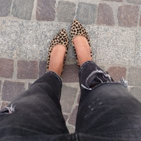 Flat Lea cavallino leo