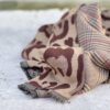 Sciarpa double leo (vari colori)