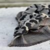 Sciarpa double leo (vari colori)
