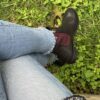 Beatle Erika combi burgundy