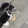Charms orsetto casco bianco
