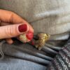 Coppia spille orsetto cuoricino (vari colori)