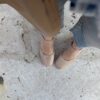 Slingback Klimt naplak noce