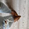 Slingback Jalisse suede cuoio