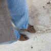 Loafer Oasi testa di moro