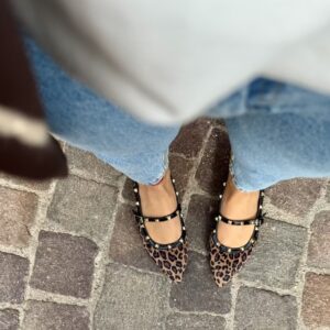 Flat Melita leo