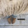 Tronchetto Boston suede nude